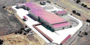 La empresa Golden Worldwide comprará el matadero de Olivenza por 6,7 millones de euros