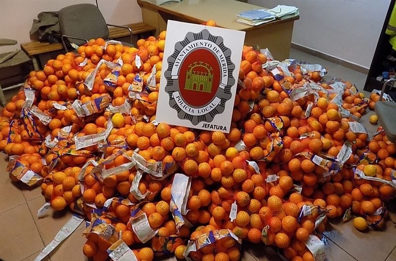 La Policía Local de Mérida interviene 1.200 kilogramos de naranjas que se vendían en la calle