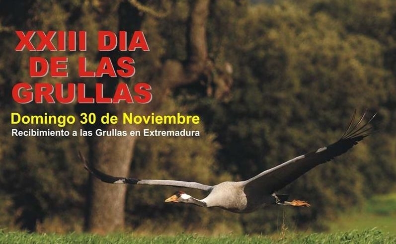 El Día de las Grullas en Navalvillar de Pela divulgará la''importancia'' de Extremadura para estas aves