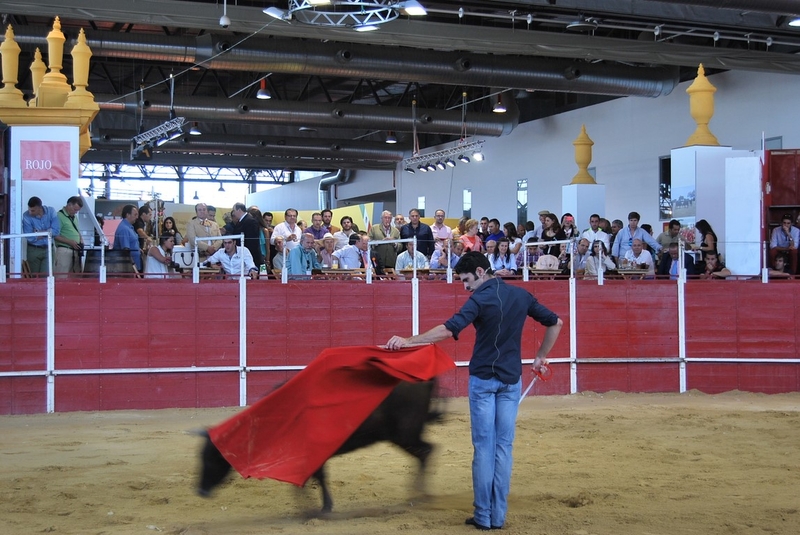 La Diputación de Badajoz seguirá potenciando la formación taurina de los jóvenes en Ecuextre 2015