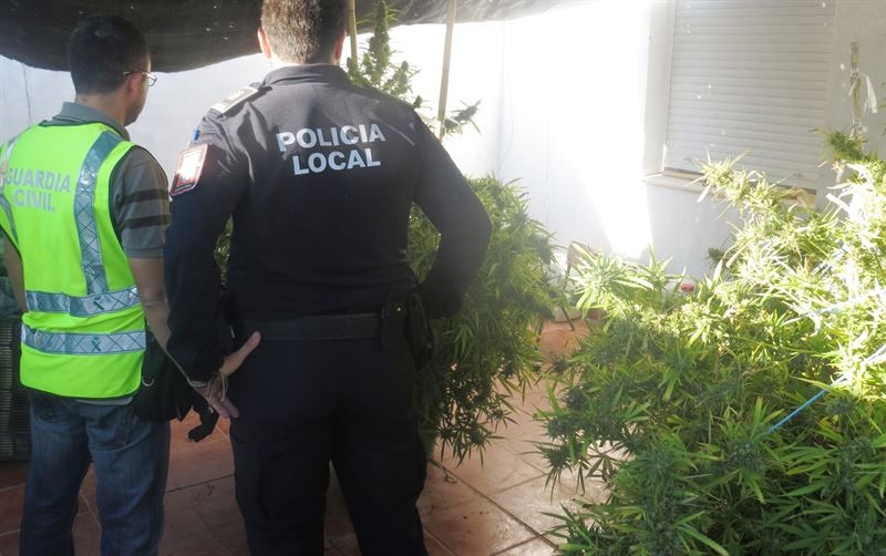 Dos detenidos por establecer en su casa de Fuente del Maestre un punto de cultivo y distribución de droga