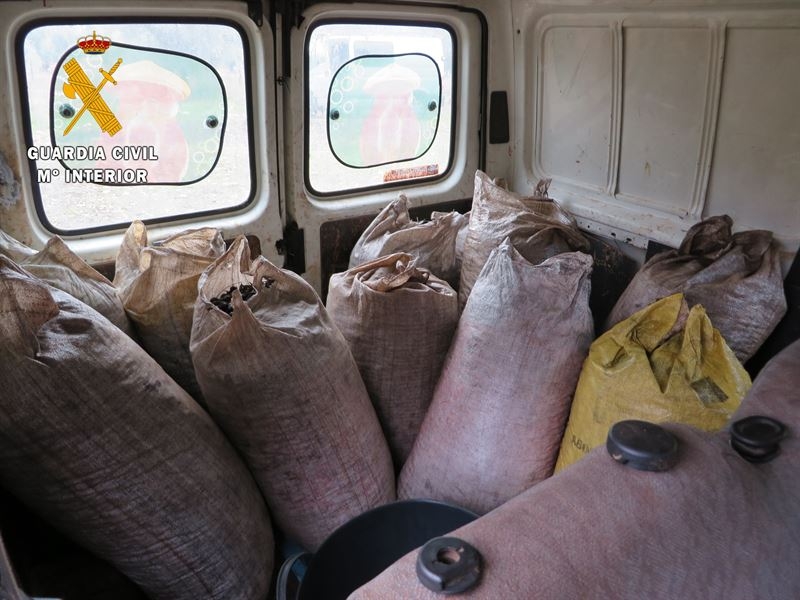 Sorprendidas seis personas cuando sustraían 1.000 kilos de aceitunas en Monterrubio de la Serena