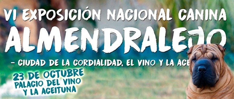 Perros procedentes de toda España compiten en la VI Exposición Nacional Canina este domingo en Almendralejo