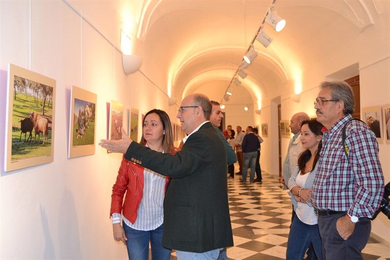 La exposición 'Toros y Dehesa de Extremadura' de José María Ballester llega a Jerez de los Caballeros