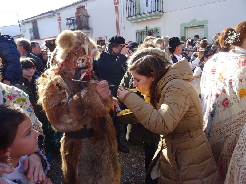 La Junta apoya que las Carantoñas de Acehúche (Cáceres) sea declarada Fiesta de Interés Turístico Nacional