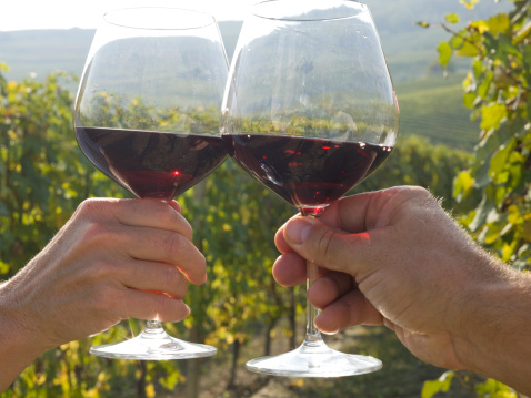 La Ruta del Vino Ribera del Guadiana incrementa sus visitantes un 16,45%