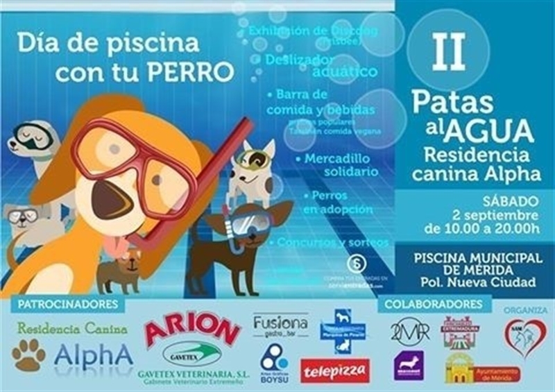 Los perros podrán ir a la piscina en Mérida en la segunda edición de Patas al Agua