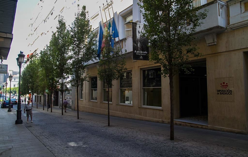 Las banderas de la Diputación de Badajoz ondean a media asta
