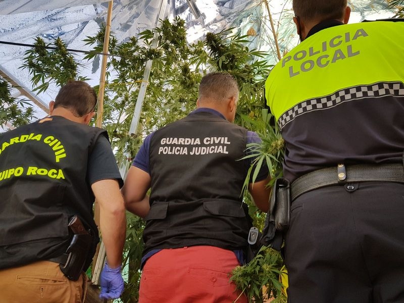 Detenidos dos miembros de una misma familia de Llerena por vender marihuana que cultivaban en su casa
