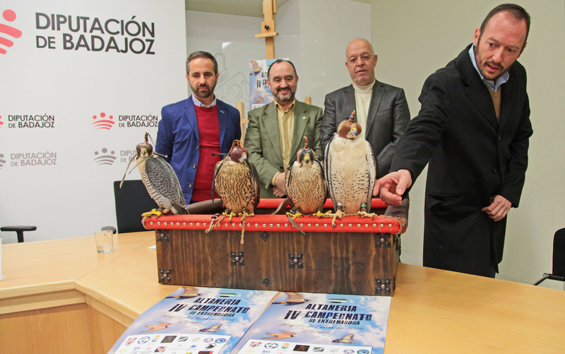 Llerena celebra este fin de semana el IV Campeonato de Altanería con los mejores cetreros del país