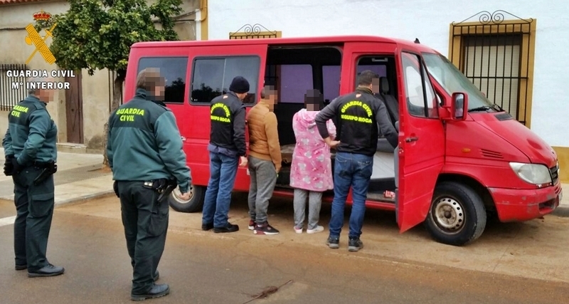Tres detenidos de una misma familia acusados del robo de 27 toneladas de aceitunas en la provincia