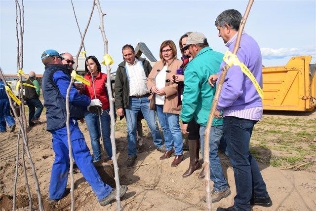 El vivero de la Diputación de Cáceres realiza un reparto equitativo de árboles ante el gran número de solicitudes