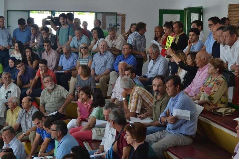 La Diputación de Badajoz cosecha un gran éxito en la subasta de ganado en la Feria de Zafra