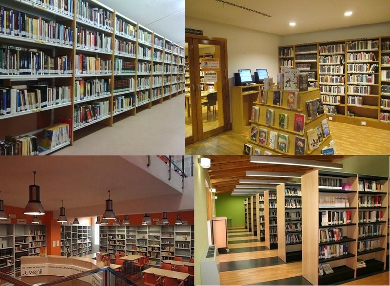 Dotación de fondos bibliográficos y audiovisuales a entidades locales de la provincia 