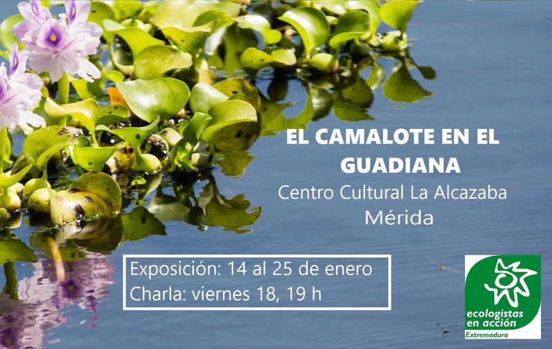 Exposición y charla en Mérida sobre el Camalote en el río Guadiana