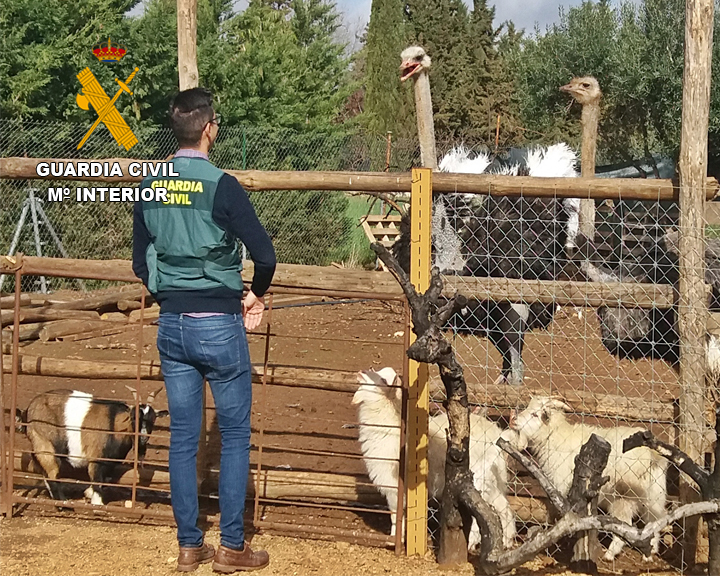 La Guardia Civil desenmascara un zoológico clandestino en Villafranca de los Barros
