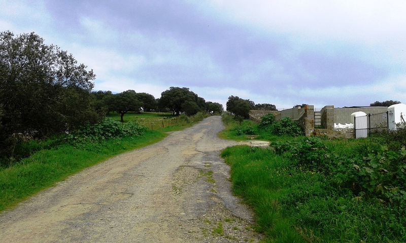 El Ayuntamiento de Jerez pone en marcha un programa municipal para el arreglo de caminos rurales