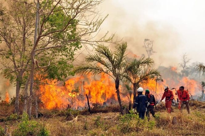 FELCODE destina 24.000  a combatir los graves incendios que asolan la región de la Chiquitanía, en Bolivia