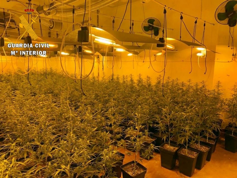 La Guardia Civil detiene a un grupo criminal dedicado al cultivo de marihuana