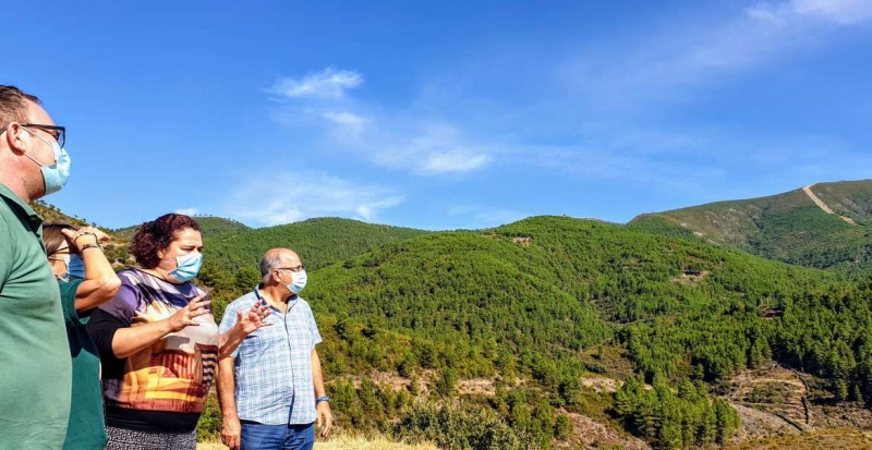 La Junta de Extremadura ya tiene avanzado el plan de restauración forestal para la zona afectada por el incendio en La Vera y El Jerte   