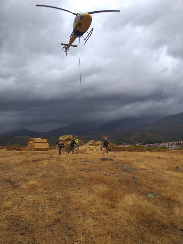 Un helicóptero del Infoex se incorpora a los trabajos de restauración forestal en El Jerte y La Vera