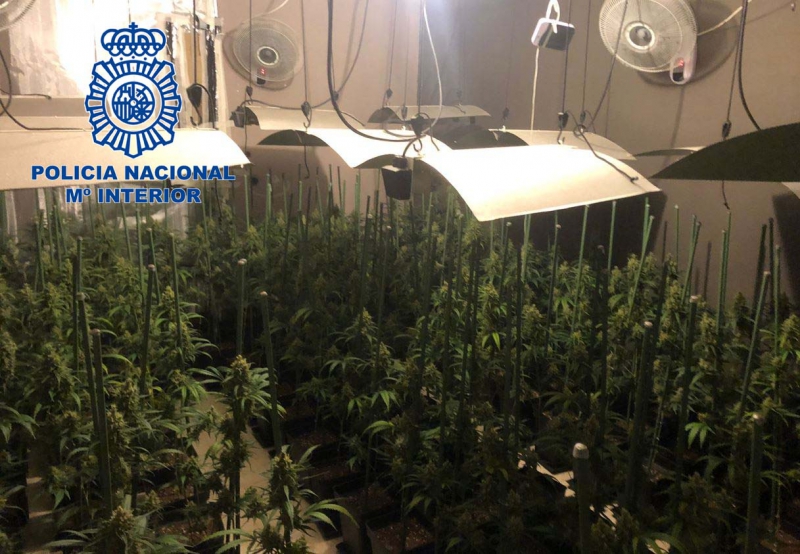 La Policía Nacional detiene al responsable de una plantación ''indoor'' de marihuana 
