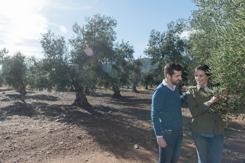 MM Gourmet, MM Ecológico y Monjías del Olivar, ganadores de la IV cata-concurso de aceites