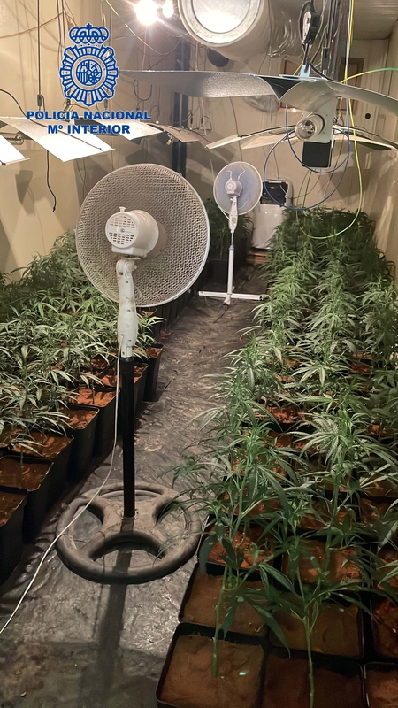  La Policía Nacional detiene al responsable de una plantación de marihuana ''Indoor''
