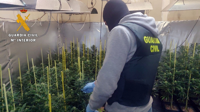 La Guardia Civil desmantela una plantación de marihuana en una vivienda de Guareña