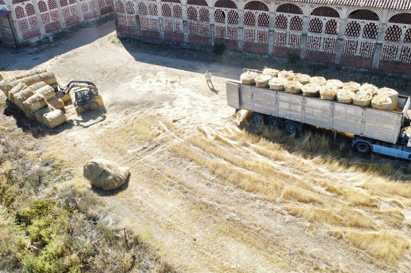 Diputación entrega al alcalde de Casas de Miravete 20.000 kg. de heno para el uso de los ganaderos afectados por los incendios