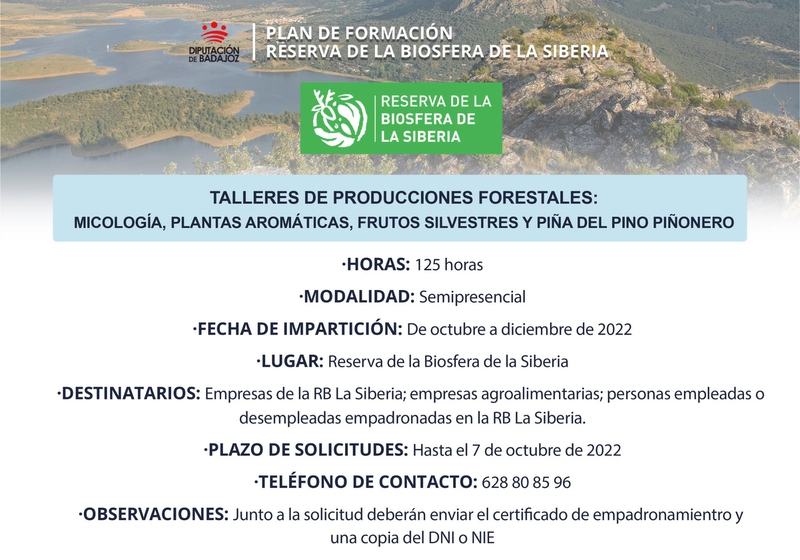 Abierto el plazo para inscribirse en el itinerario formativo de ''Talleres de productos forestales''