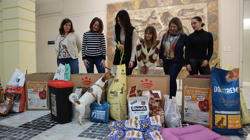 Entregados los productos recogidos en la Campaña de Donación para Animales