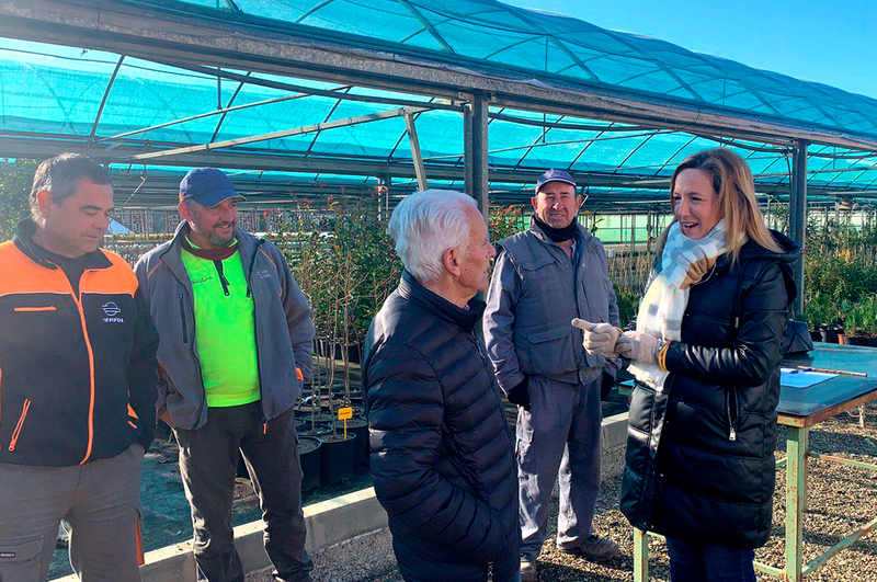 Los ayuntamientos de la provincia ya están recibiendo las especies arbóreas solicitadas en la campaña de arbolado 2023