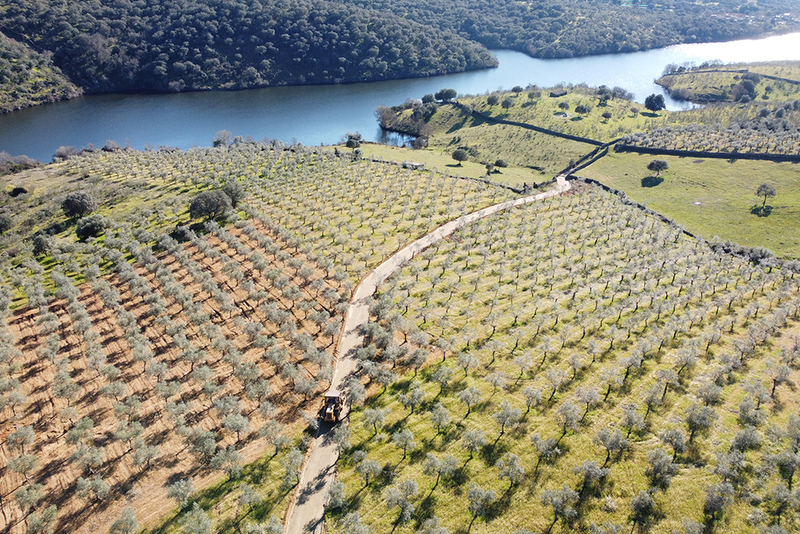 Las obras del camino rural público de Llanos del Barco, en Guijo de Granadilla, a punto de finalizar