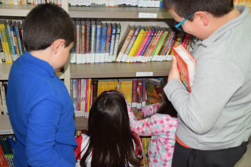 Las entidades locales de la provincia ya pueden solicitar las ayudas para la adquisicin de fondos bibliogrficos para sus bibliotecas