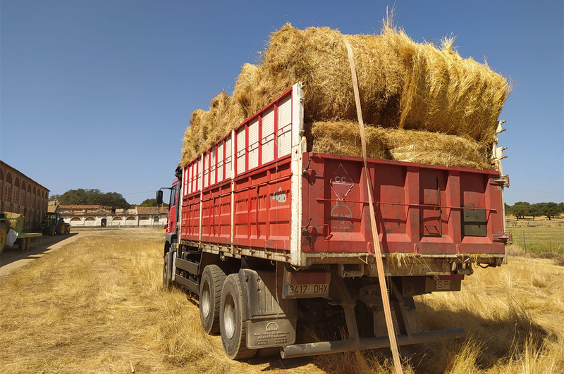 La Diputación repartirá pacas de heno entre los ganaderos de Las Hurdes y Sierra de Gata afectados por los incendios