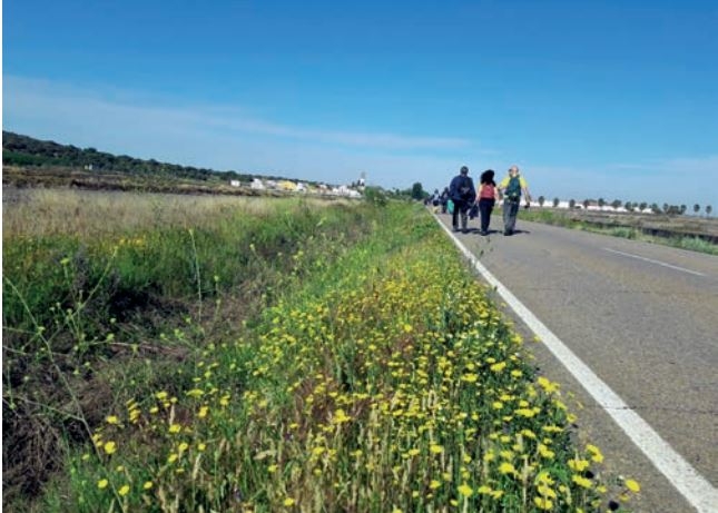 La Diputación de Badajoz adjudica la construcción de la pasarela peatonal sobre el río Búrdalo en Torrefresneda