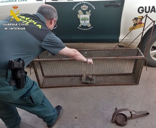 La Guardia Civil interviene artes prohibidas para la captura de animales en una finca de Montemolín