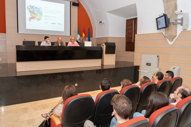 FELCODE y la UEX llaman a reflexionar sobre las oportunidades de la descentralización administrativa