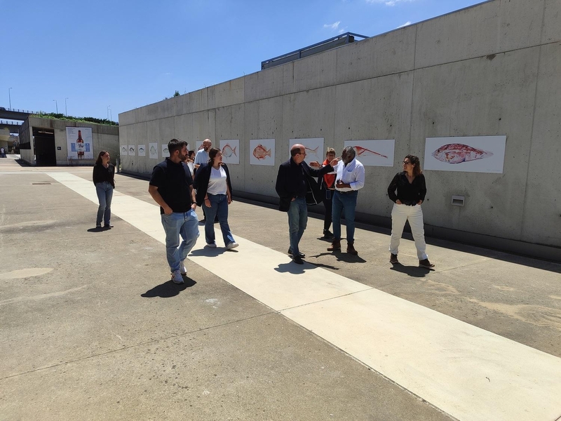 Promedio participa en el segundo encuentro de socios del proyecto SOLLAGUA en Lisboa