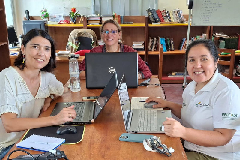 FELCODE lanza la convocatoria 2026 del Programa Voluntarios Expertos con 19 asistencias técnicas en América Latina