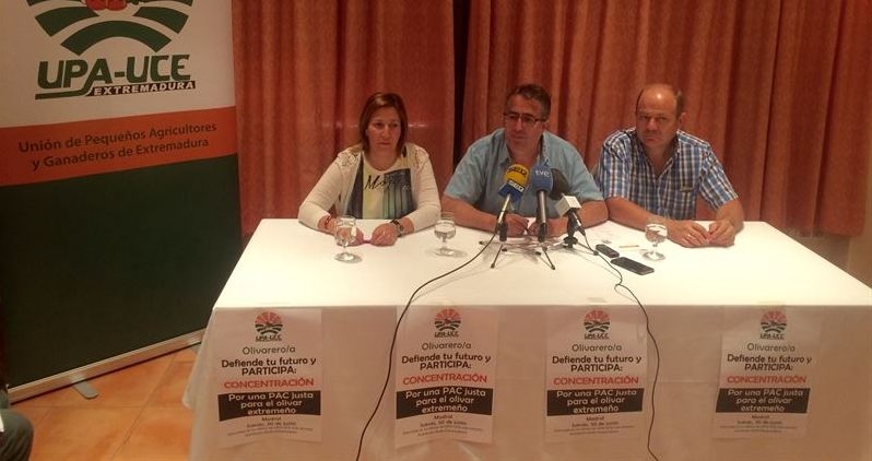 UPA-UCE Extremadura asistirá en Madrid a una concentración en defensa del olivar tradicional