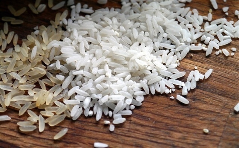 Apag Extremadura Asaja advierte de que el futuro del arroz en la región se encuentra bajo amenaza