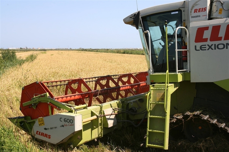 Junta de Extremadura y Feader destinan 20 millones de euros en ayudas para primera instalación de jóvenes agricultores