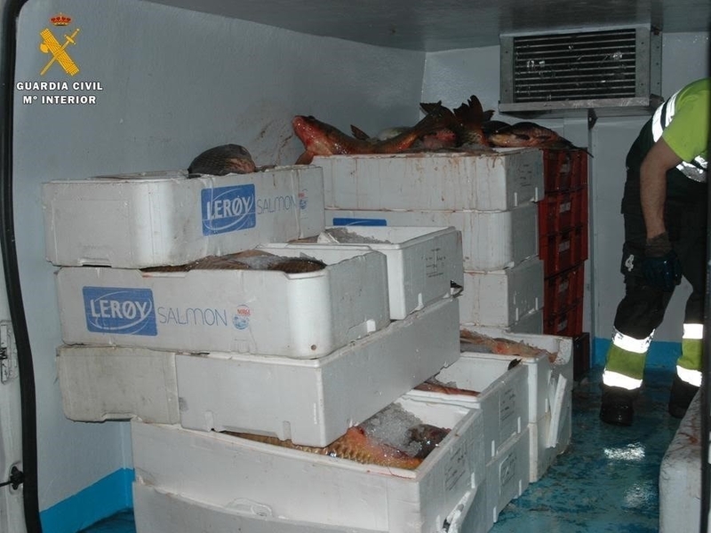 Intervenidas en Zaragoza 1.880 kilos de carpas no aptas para el consumo procedentes de Extremadura