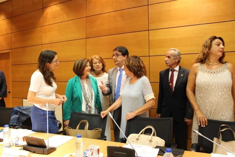 Extremadura insta al Estado a transferir ''cuanto antes'' fondos del IRPF para sacar este verano ayudas al Tercer Sector