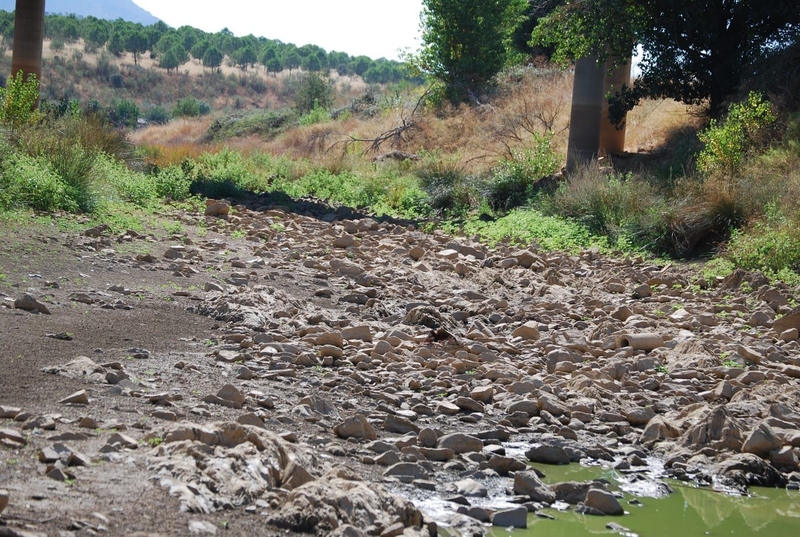 Denuncian que la Confederación Hidrográfica del Guadiana vuelve a no respetar el caudal ecológico del río Matachel