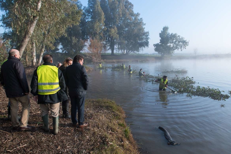 Fernández Vara agradece el ''extraordinario'' trabajo de la UME y TRAGSA en la retirada del camalote del Guadiana