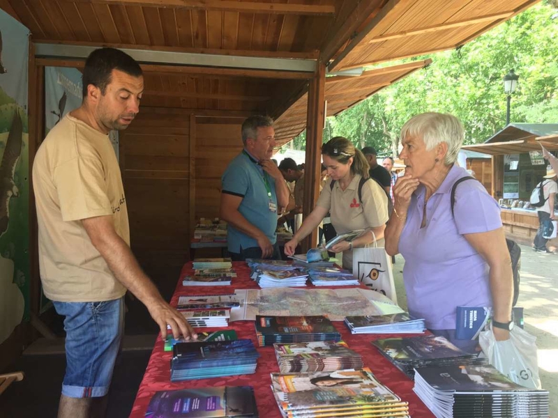 Extremadura invita a los turistas de Madrid a observar aves en la naturaleza y los núcleos urbanos de la región