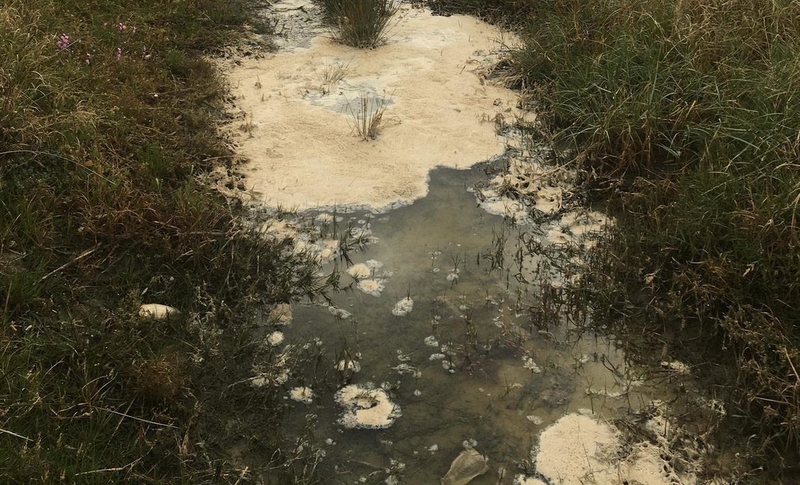 Ecologistas en Acción denuncia a Confederaciones Hidrográficas y Ayuntamientos por los vertidos ilegales de agua